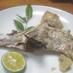 320x320_rect_7854454