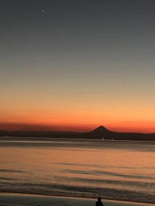 DDAC09F6-0F6F-43F6-B2CF-98366A0FBF8B